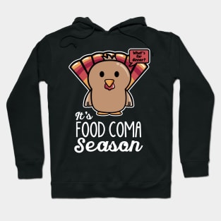 Thanksgiving Turkey It's Food Coma Season Hoodie